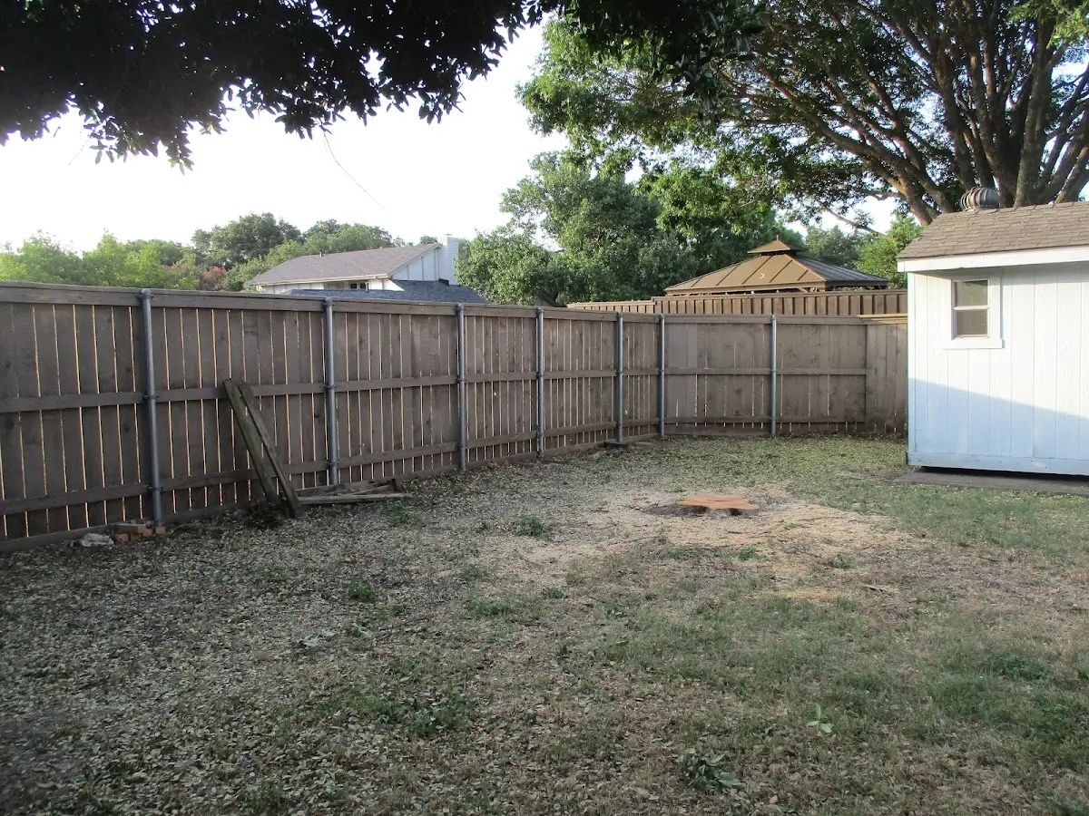 Cleared yard after professional tree removal in Tumtum