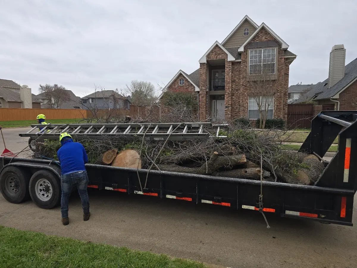 Expert Lot Clearing with proper safety equipment in Tumtum